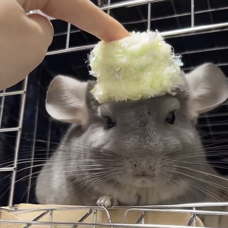 🐭「悪い予感はしていた」