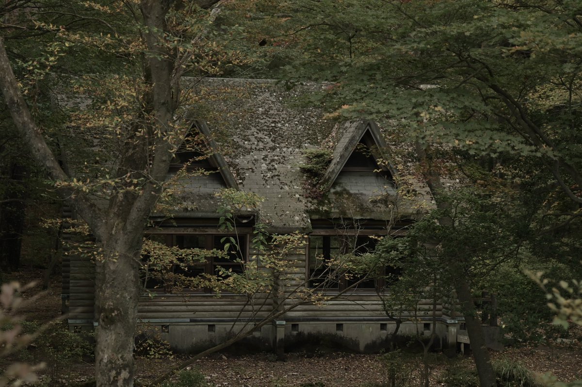 CyPm4f's tweet image. #写真好きな人と繋がりたい
記憶。