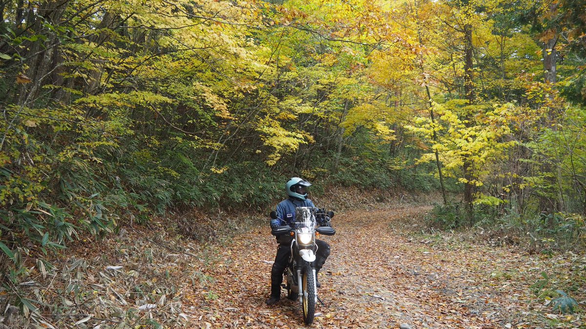 zeropoint_5486's tweet photo. 今月はツーリングで忙しい。
月初は木曽の林道を久々に調べて来ました。濃厚レポはWEBサイト見てね。 https://t.co/LjkIQOFWFD