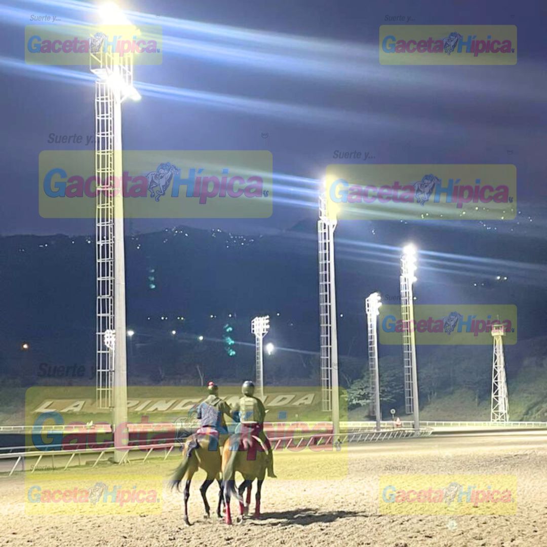 Gaceta Hípica Oficial tweet media