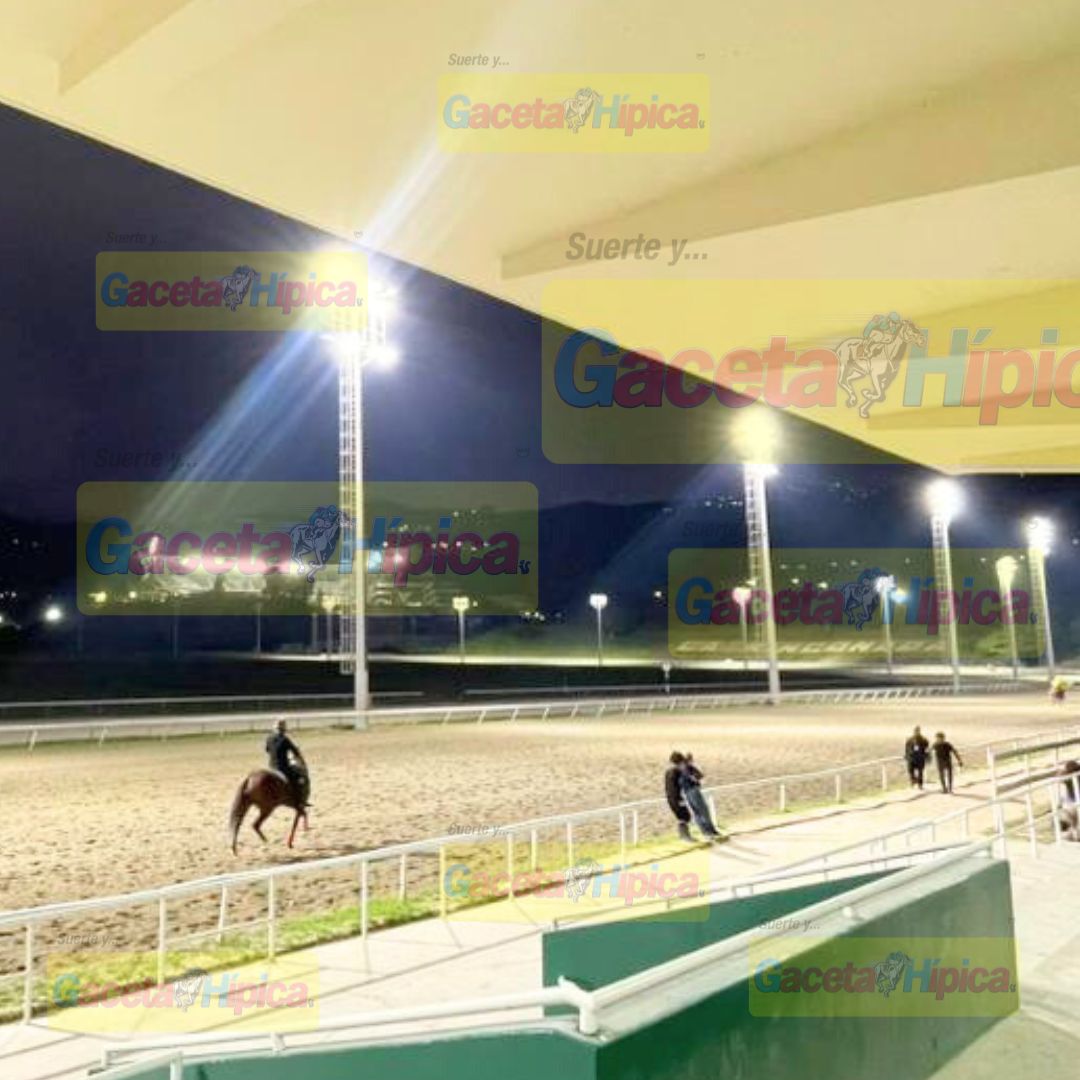 Gaceta Hípica Oficial tweet media