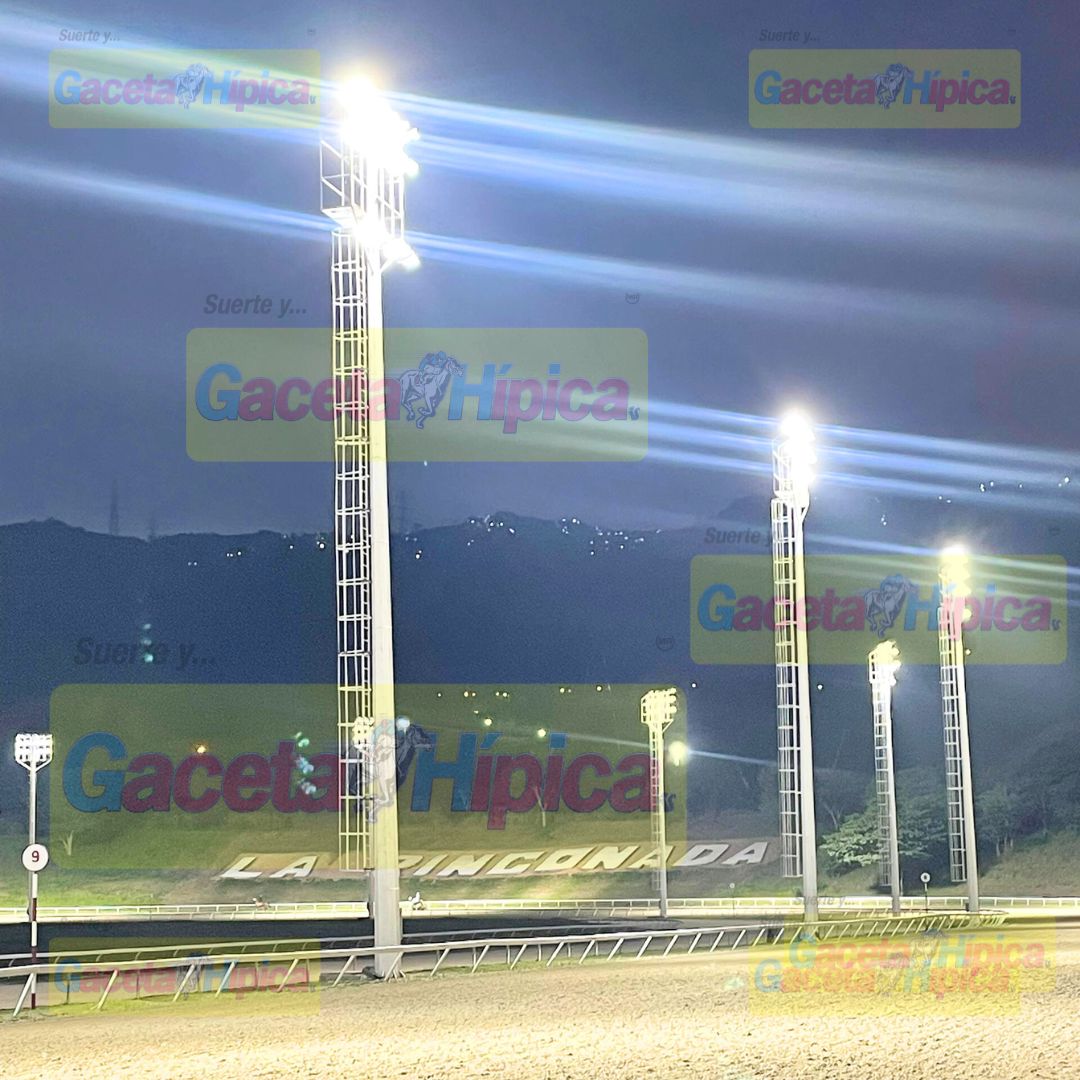 Gaceta Hípica Oficial tweet media