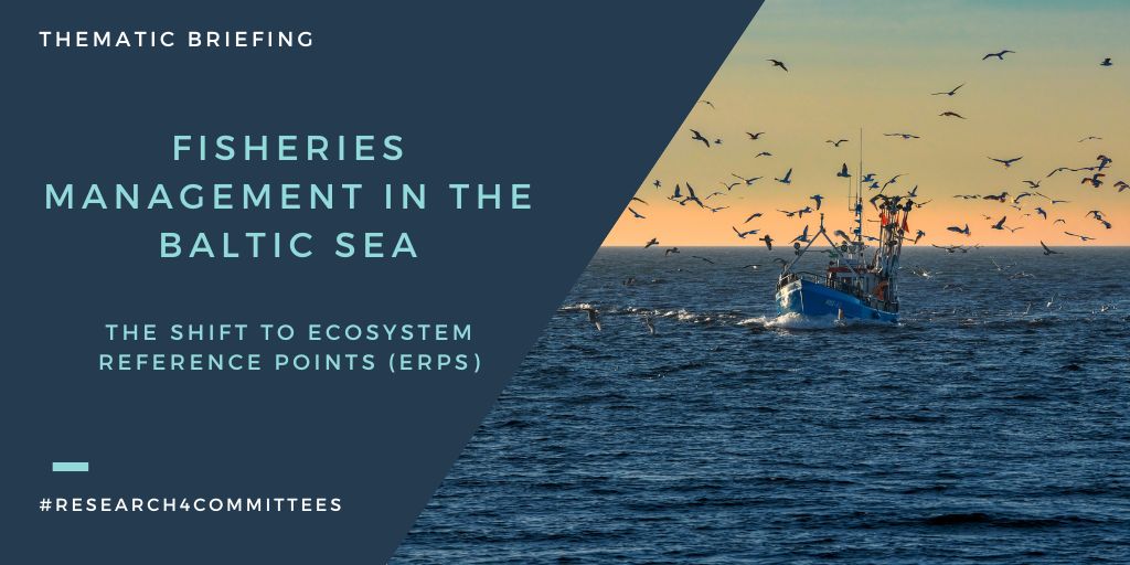 Research4PECH tweet media