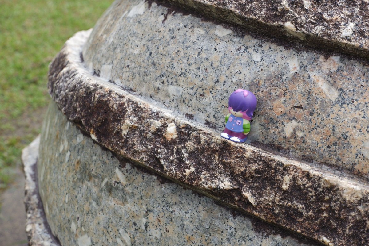 物静かで利発な少女 tweet media