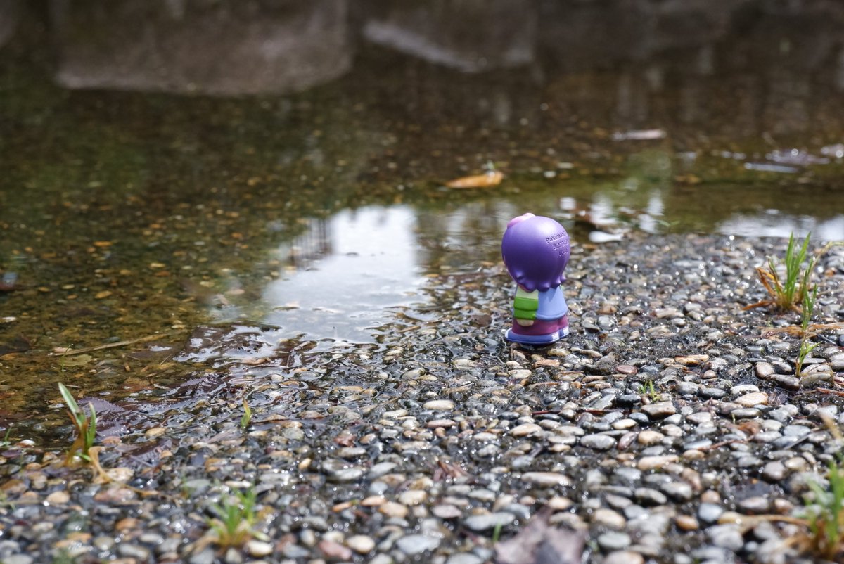 物静かで利発な少女 tweet media