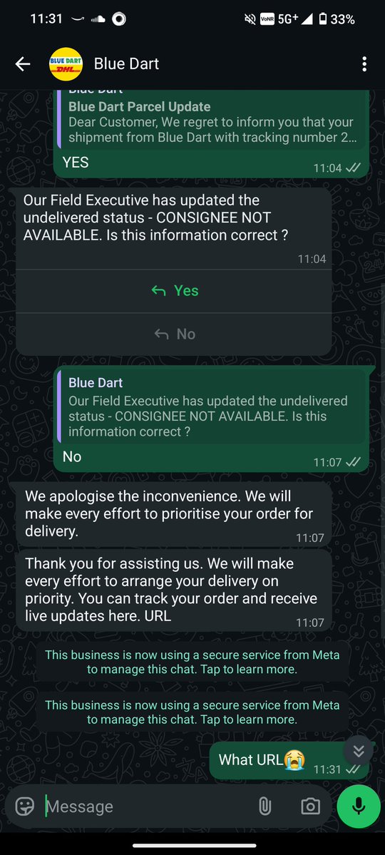 Bluedart interns wilding rn💀