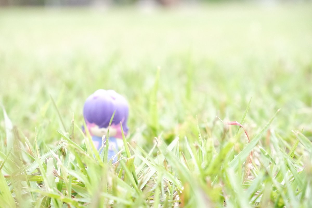 物静かで利発な少女 tweet media