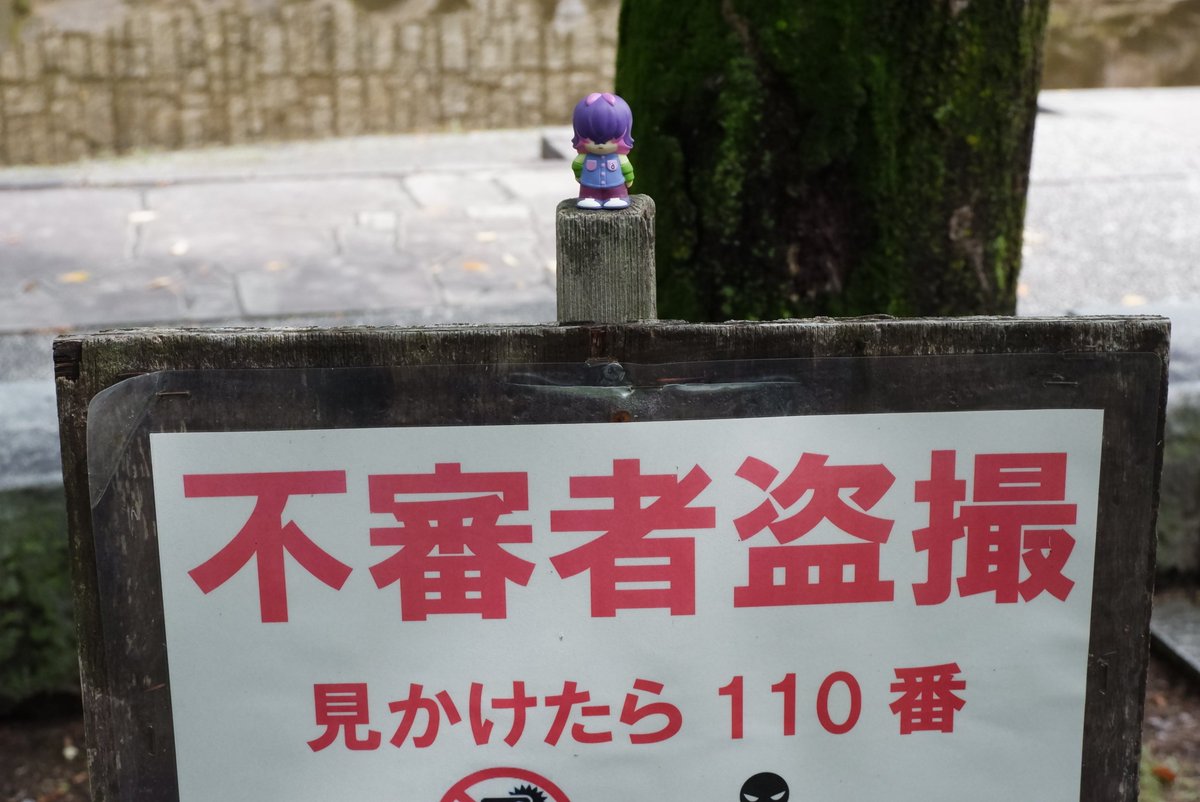 物静かで利発な少女 tweet media