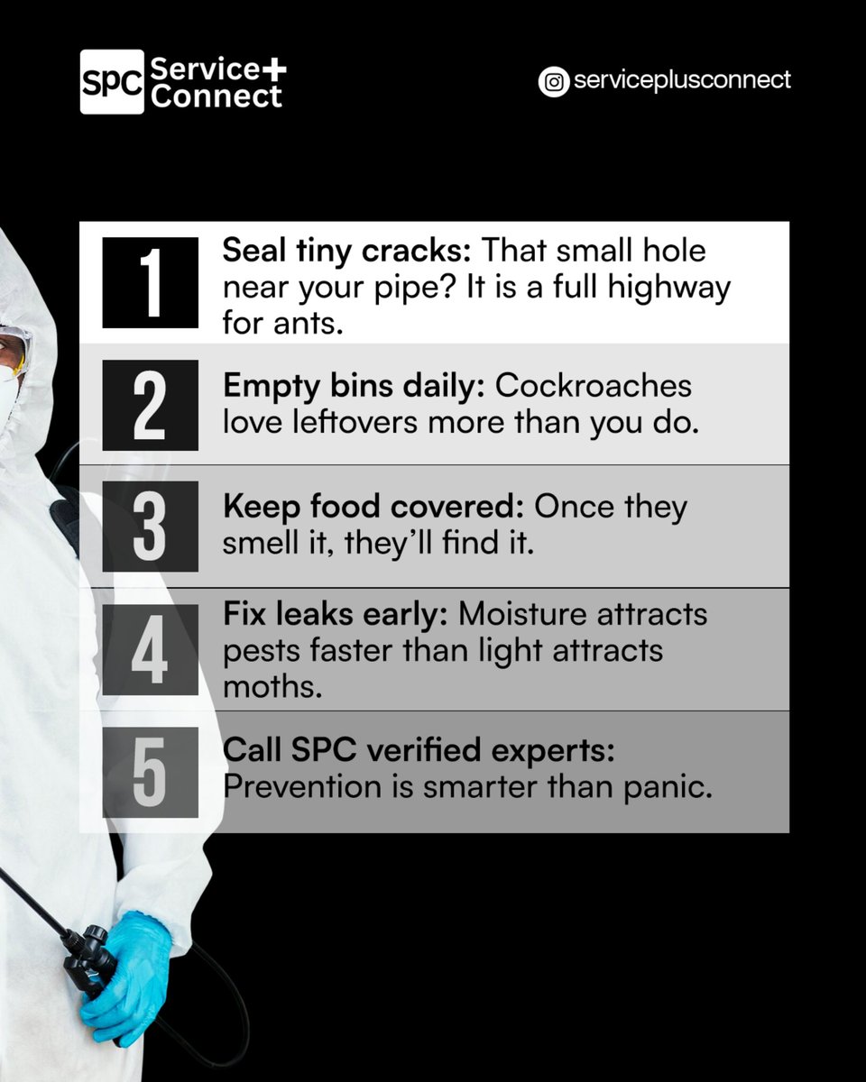 spcconnect's tweet photo. Pests have zero shame. Leave one tiny space and they will enter your house like they came for internship.

Use these five simple tricks to block their hustle before they even try it.

#ServicePlusConnect #CleanWithSPC #NoUninvitedGuests https://t.co/HB3JFNtYYn