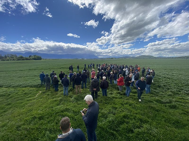 Attendees of the International Herbage Seed Conference in Tasmania standing in an impressive production paddock of Vortex annual ryegrass☝️

#GrowWithConfidence