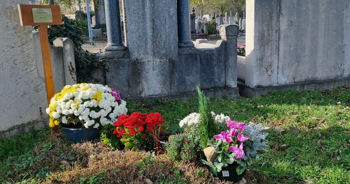 leprogreslyon's tweet image. Une Lyonnaise inhumée dans l&apos;anonymat, sa famille apprend son décès deux mois plus tard #Lyon
➡️ l.leprogres.fr/BQc