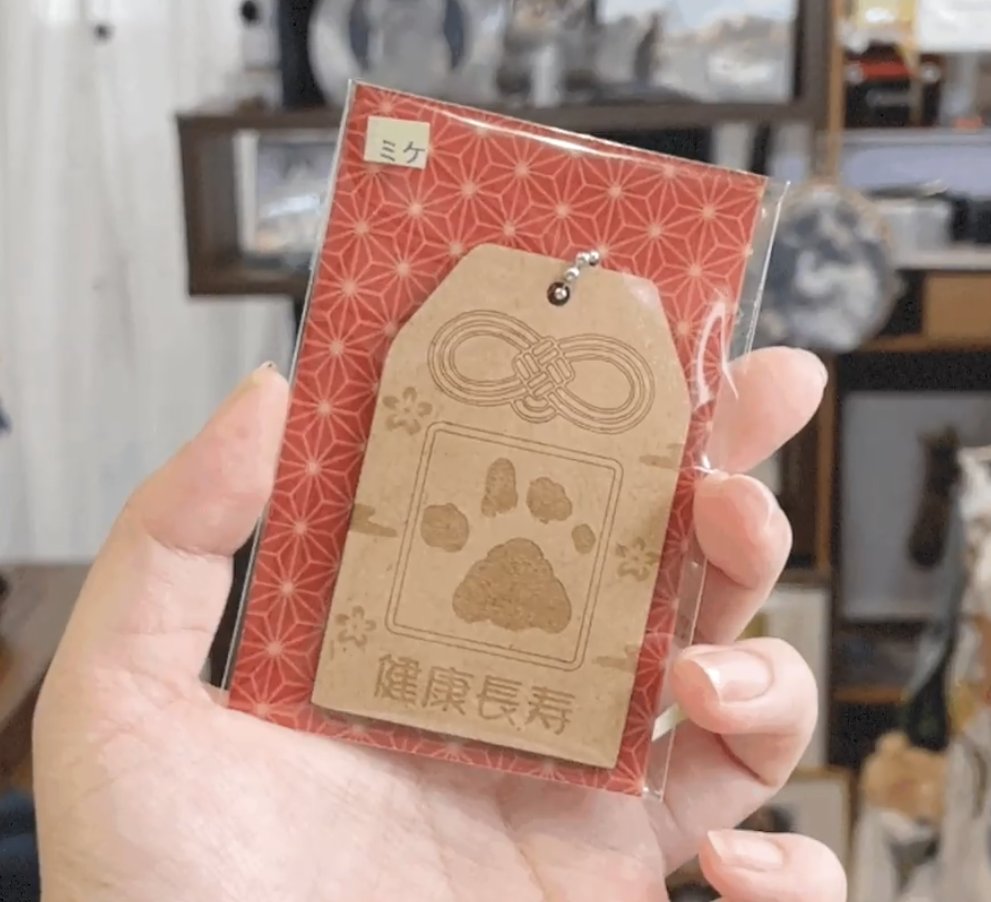 ミケちゃん (@ojm52811) / Posts / X