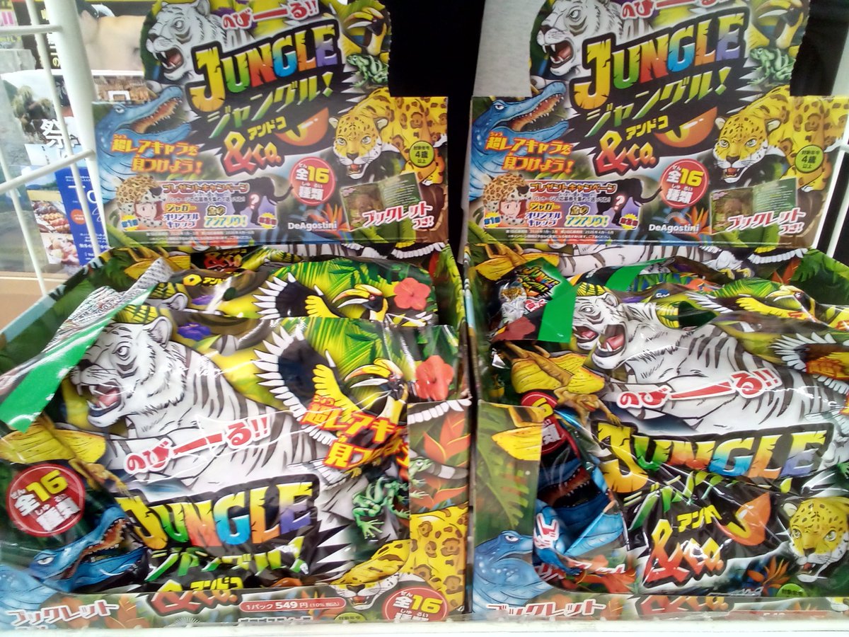 大人気シリーズ『＆Co．』最新作✨ 『ジャングル＆Co．』本日入荷しま