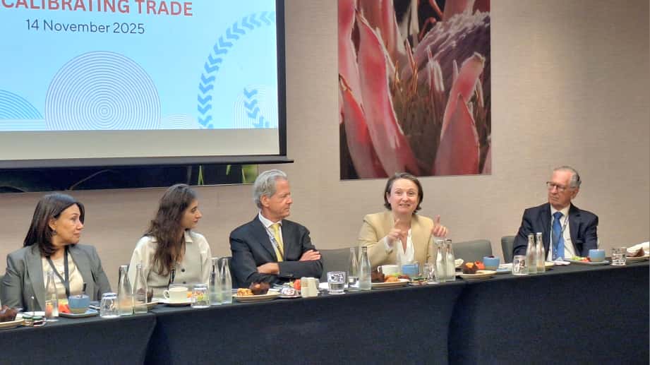 orfonline's tweet photo. @AblaAlatif @AntVillafranca Céline Kauffmann: A balanced critical minerals strategy must address both #demand and #supply. That means mapping resources sustainably, investing in economic diversification and #value-chain upgrading, and ensuring local participation in development.

#T20Summit #ORF@T20 https://t.co/l1Yfp3KS8u