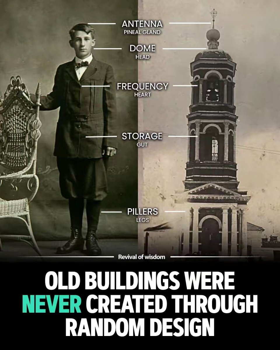 The Bible says The Most High does not dwell in temples made by hands…
Because the true temple is you. 👁️✨

Your pineal gland is the antenna.
Your body is the shrine.
Your consciousness is the bridge to the mental plane — the infinite field where every thought becomes a living
