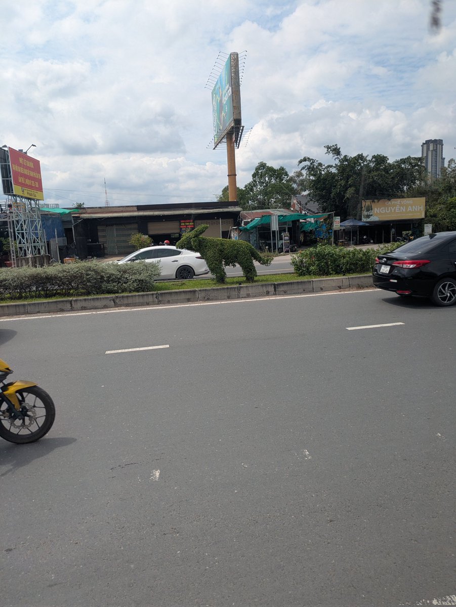 多分ご飯食べ終わって少ししたら暇なのでベトナムホテル配信予定です。