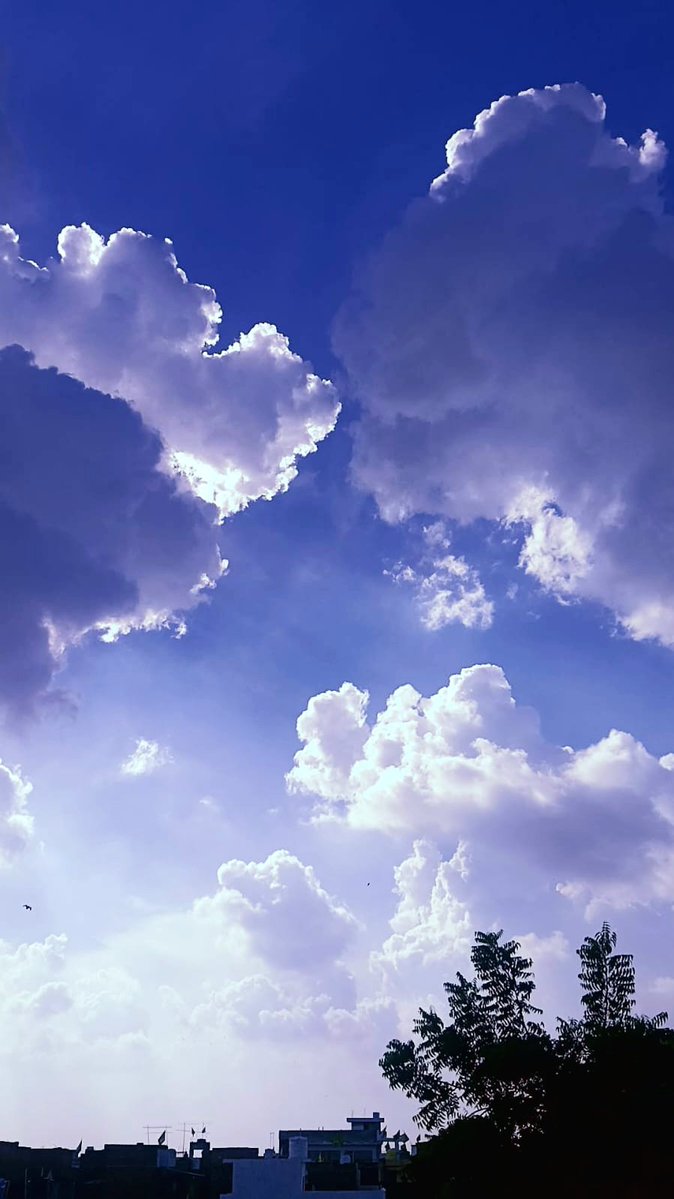 AnshKumar688161's tweet image. Kyaa haal chaal guyss 

Let&apos;s connect #coders #designer #Editor