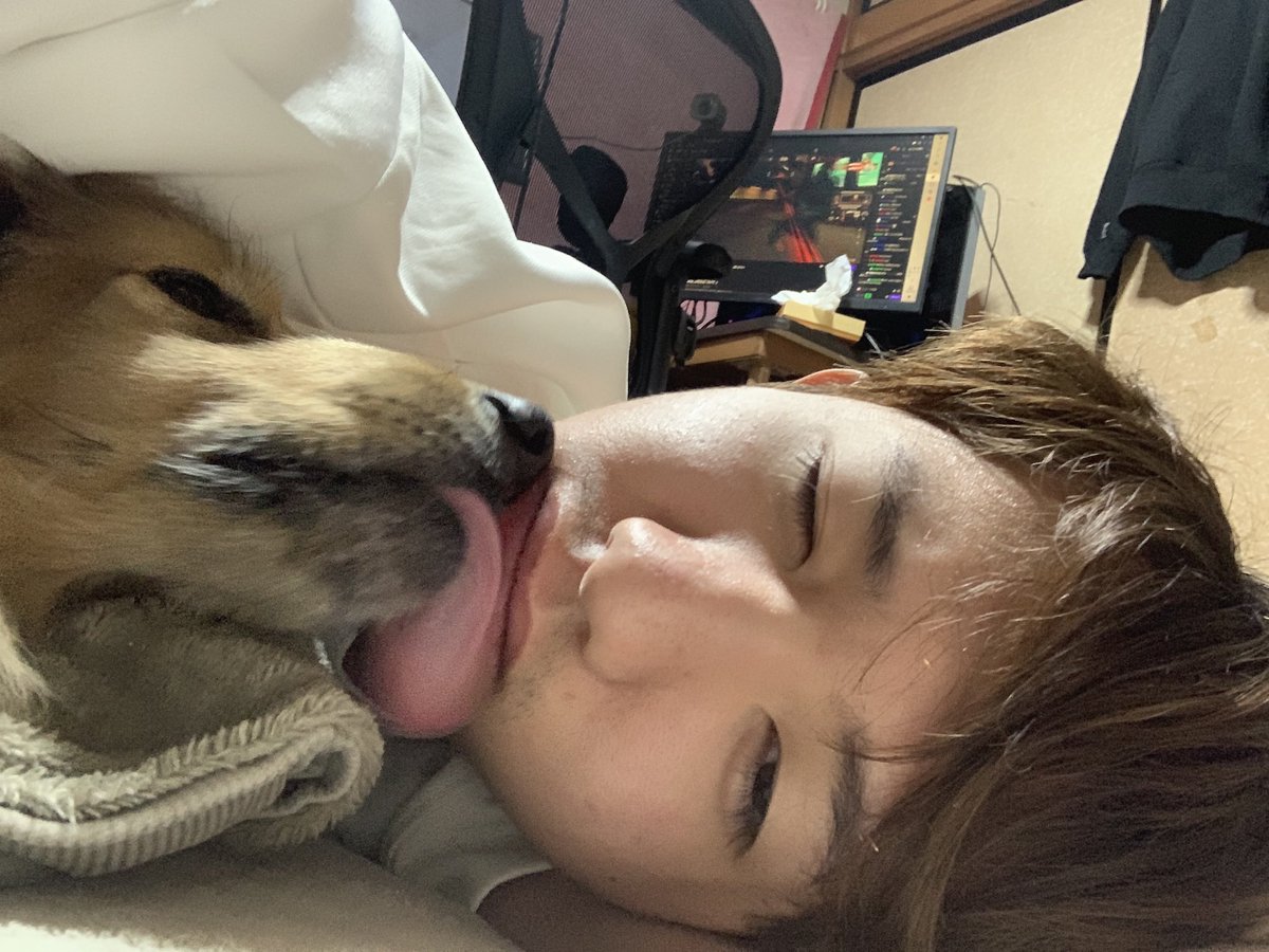 今日、うちの愛犬が天国へ旅立ちました。
おやつを食べる時も散歩へ行く時もずっと元気に走り回って活発な子で、隙があれば舐めてきて、俺が落ち込んでた時もずっと傍にいて見守ってくれてました。
喋れなくても伝わってくるけんちゃんの愛、ずっと俺の宝物だよ。