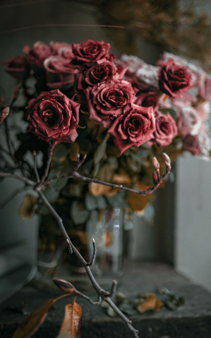 🩷Good morning everyone🩷