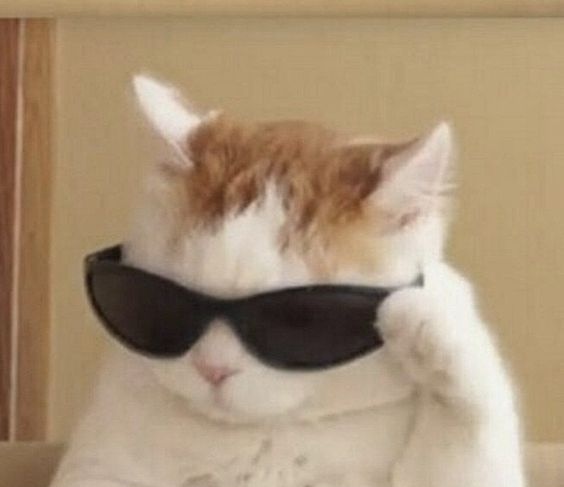 abhilostsoul's tweet image. How lazy iam ?  I give GPT to generate a prompt for GPT