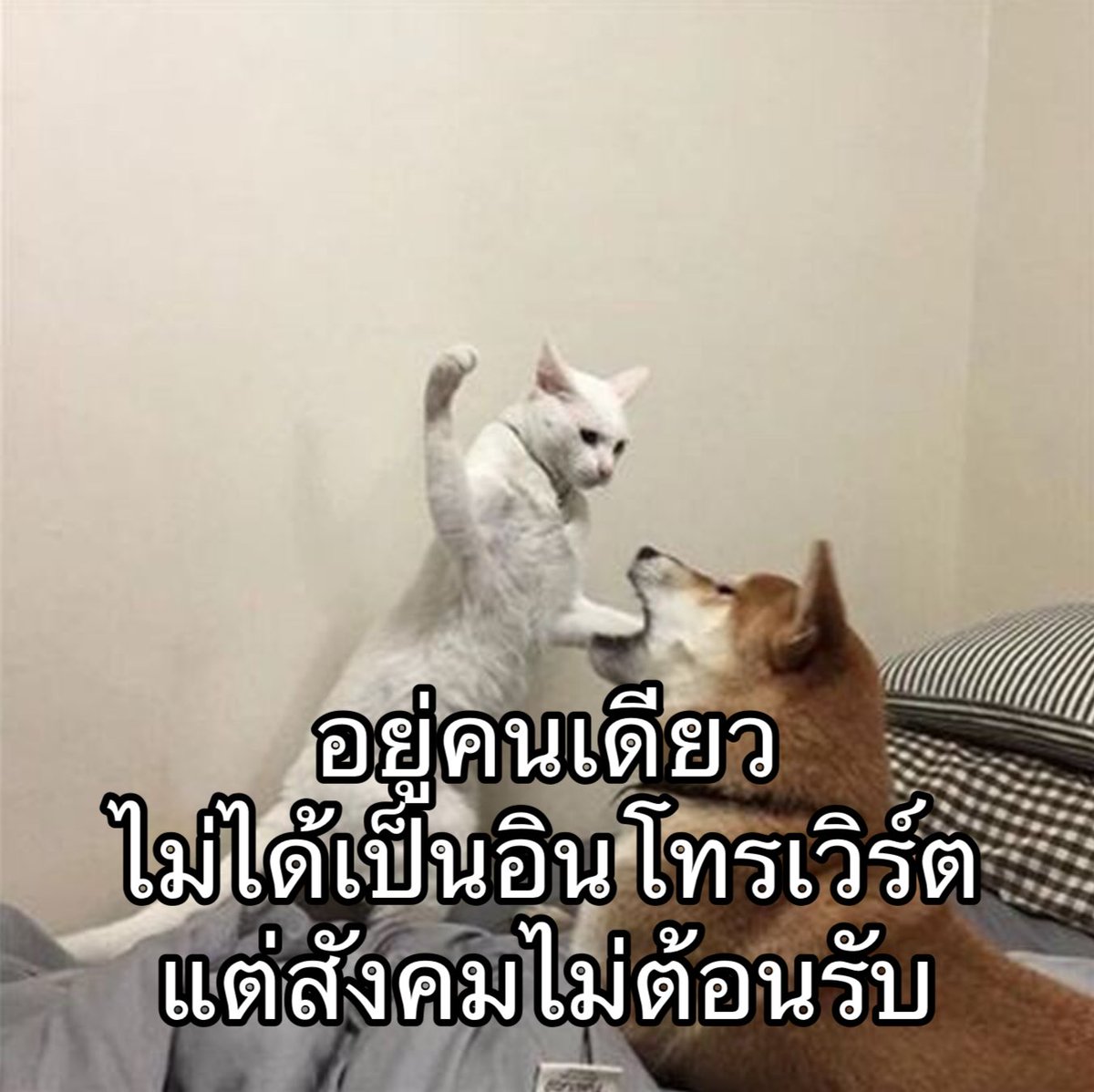 IMeSayIt's tweet image. อยากเข้าสังคม แต่สังคมไม่ให้เข้า
