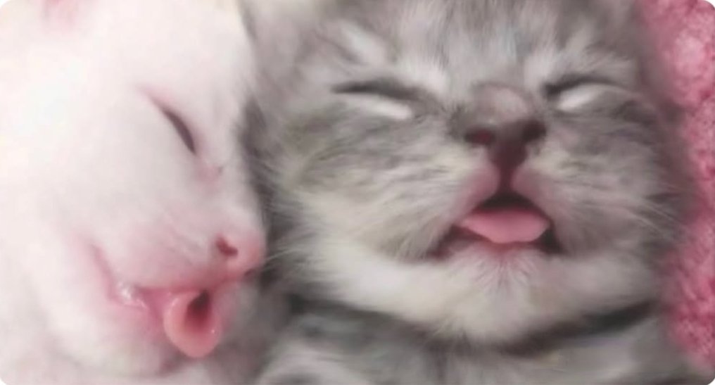 𝒜🪄 tweet media