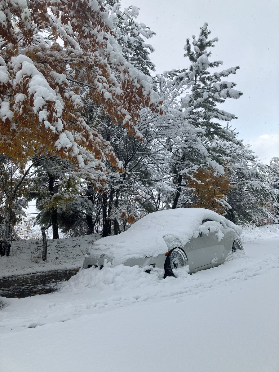 snowballzn6's tweet photo. 青森の冬が来てしまった☃️ https://t.co/cXcsci6dK3