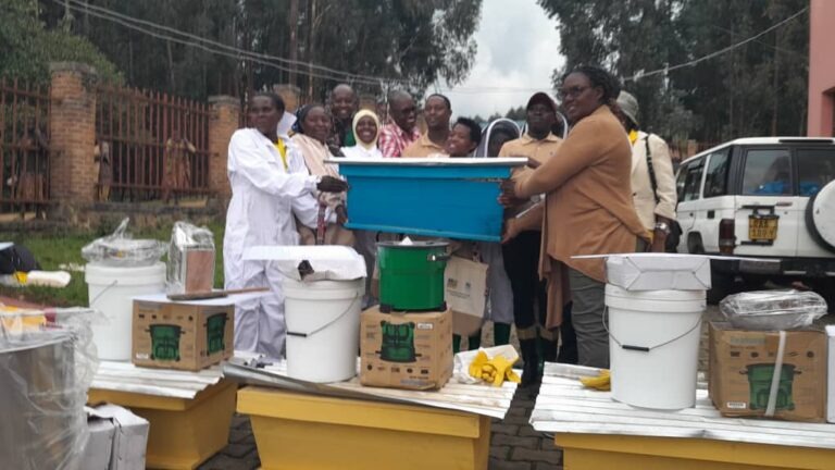 RADIOSALUS1's tweet image. Mu kiganiro Bungabunga #Ibidukikije turaganira ku ruhare rw&apos;abagore mu kubungabunga ibidukikije muri @RutsiroDistrict.

Twaganiriye n&apos;abakora umwuga w&apos;Ubuvumvu baturiye Pariki ya Gishwati- Mukura.
@EnviroRwanda 
@REMA_Rwanda