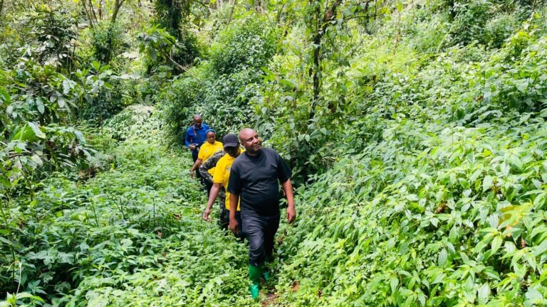 RADIOSALUS1's tweet image. Mu kiganiro Bungabunga #Ibidukikije turaganira ku ruhare rw&apos;abagore mu kubungabunga ibidukikije muri @RutsiroDistrict.

Twaganiriye n&apos;abakora umwuga w&apos;Ubuvumvu baturiye Pariki ya Gishwati- Mukura.
@EnviroRwanda 
@REMA_Rwanda