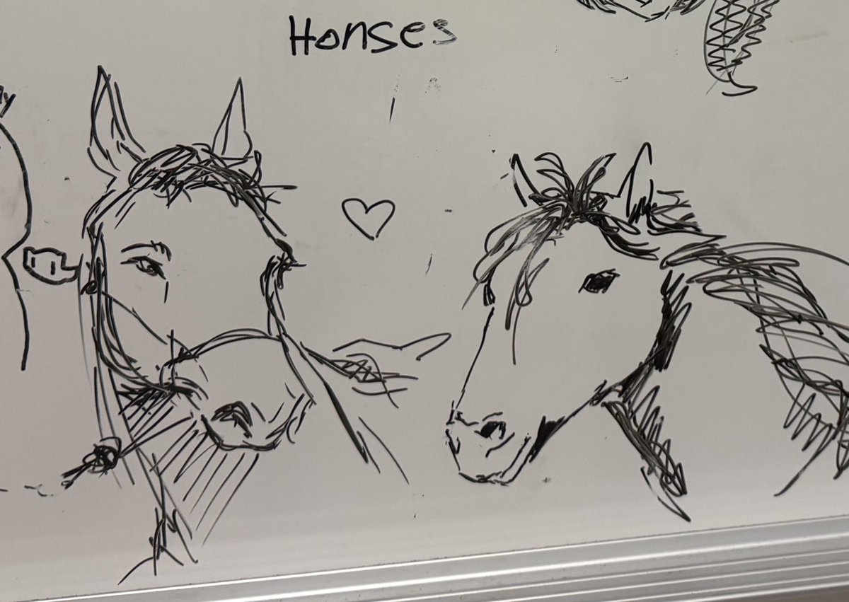 Why study differential equations when I could be studying horses instead.