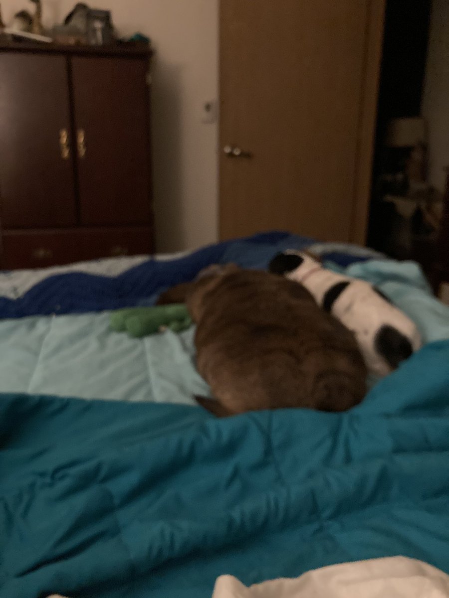 No shenanigans tonight