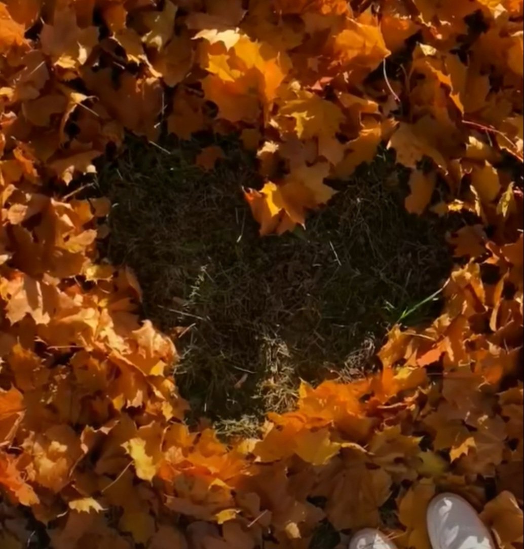 _siochainx_'s tweet image. Die meisten Katastrophen, die wir uns ausmalen, passieren nicht. Und selbst wenn - du bist stärker, als du denkst 🧡🍁🪾🍂
Guten Morgen zusammen ☕️ 🥐