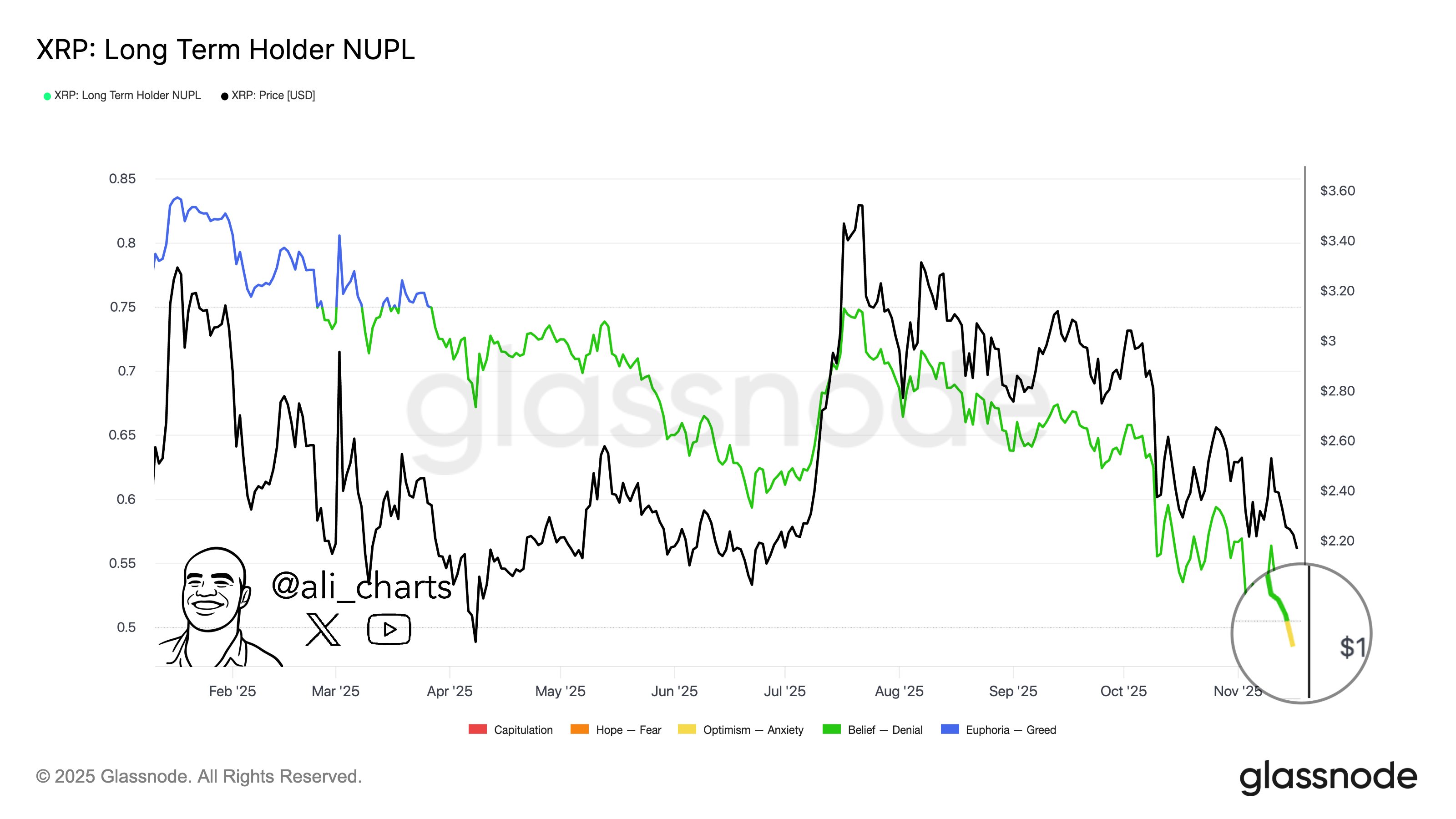 XRP Long Term Holder NUPL