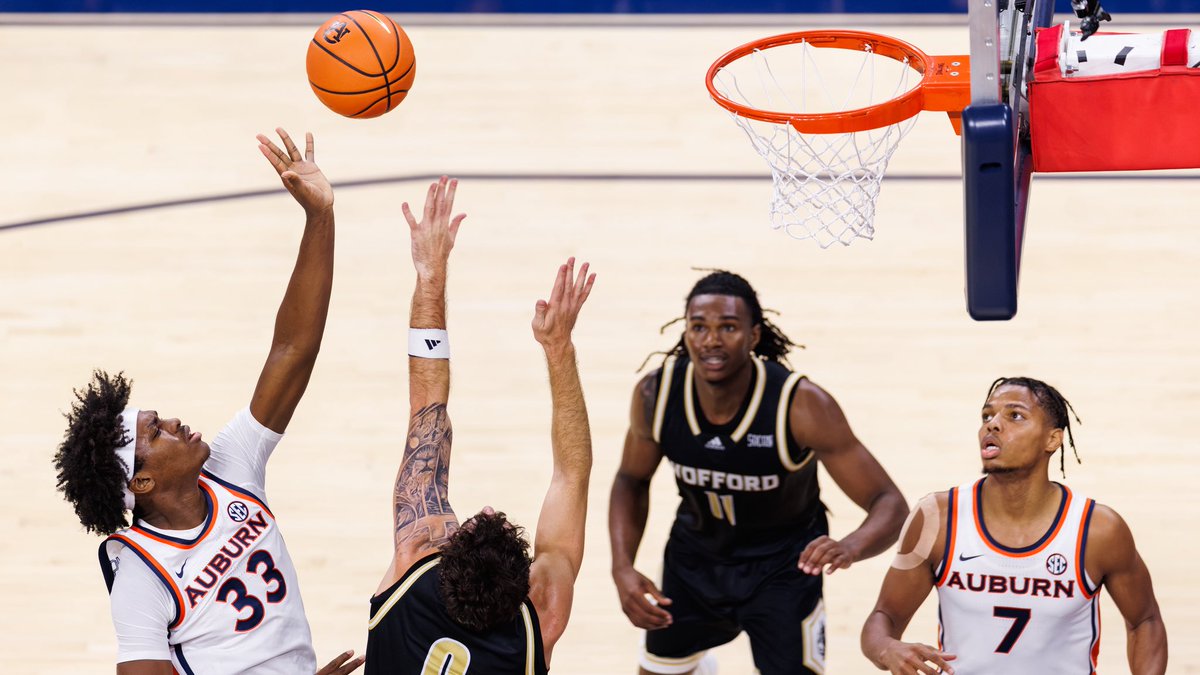 David Gray tweet media