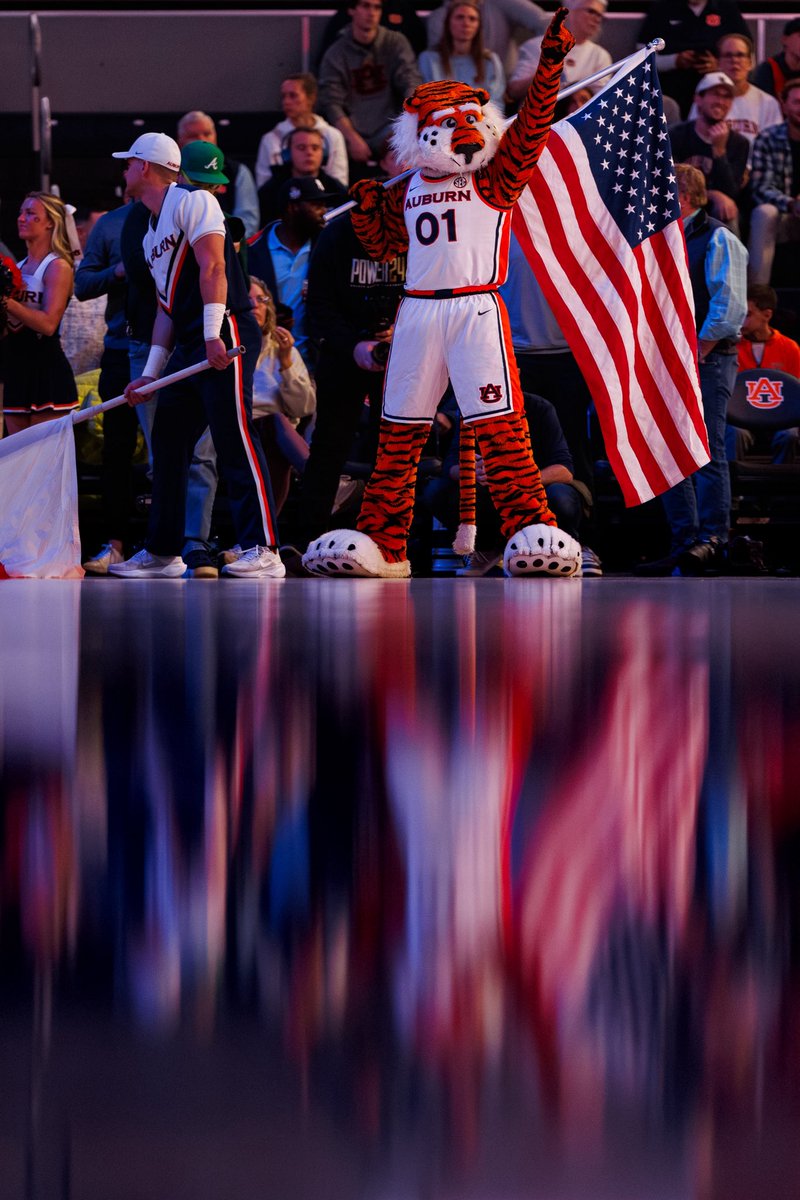 David Gray tweet media