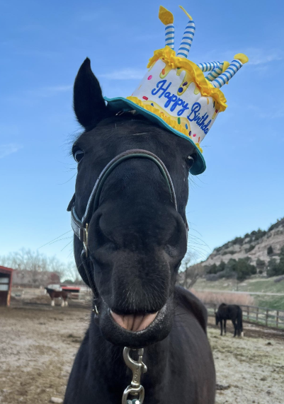 Xen Crackly tweet media