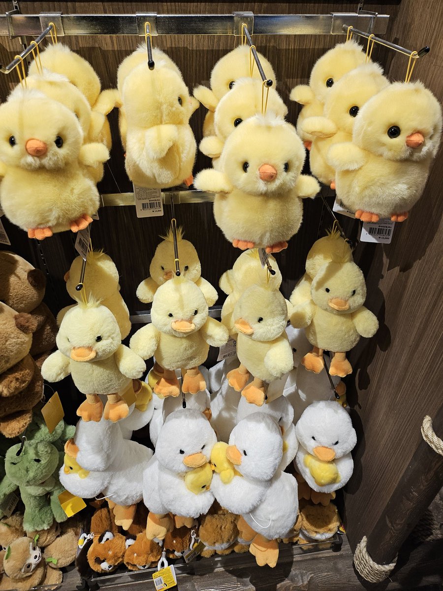 サトシ tweet media