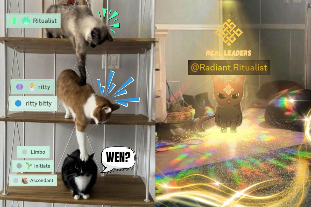 DulFad (❖,❖) tweet media