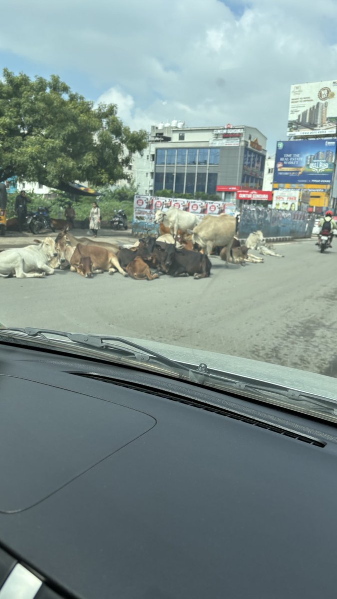 iamrmuthu's tweet image. Part 3 - Bang on OMR.  Bad roads + Congestion. And now, The Metro pillars are shelter to cattle’s and acts as an unofficial Auto stand. @DISTRICTCPT @MlaVaralakshmi @UpdatesChennai @reclaimchennai @OMRupdates @omjasvinMD