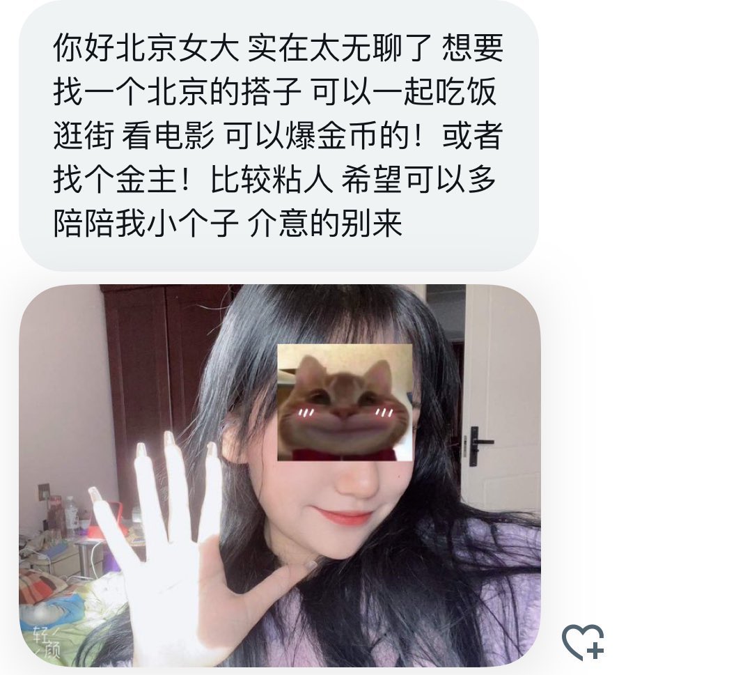 北京搭子 tweet media