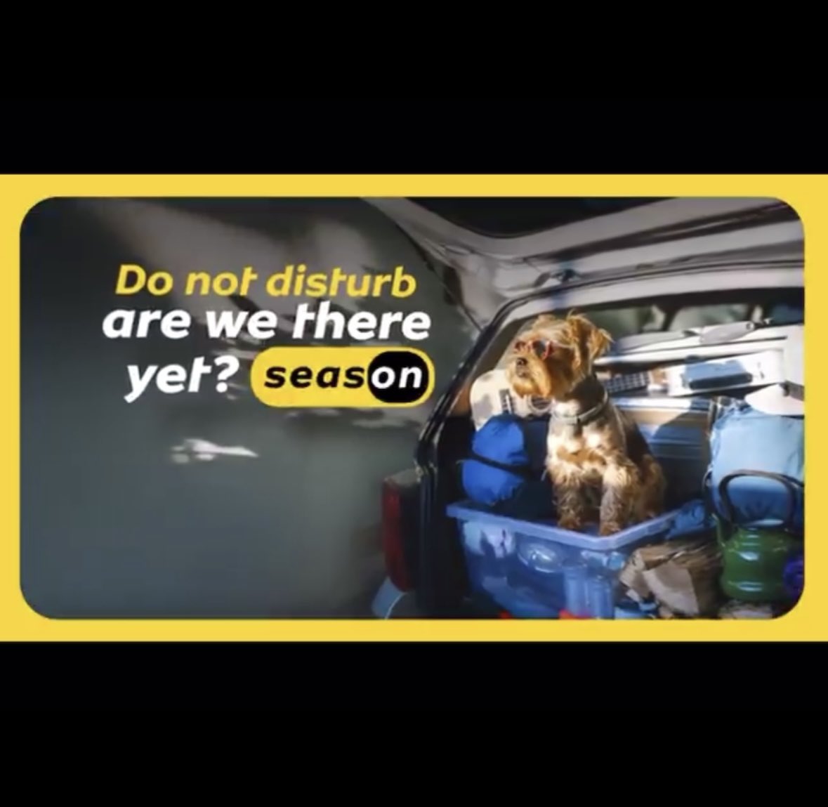 mahlaku_m's tweet image. My Do Not Disturb mode is officially ON. Recharging, reconnecting and remembering to enjoy the small things. What are you prioritising this summer?
#MTNSummer2025 #TodayWeMakeMoves 
@MTNza