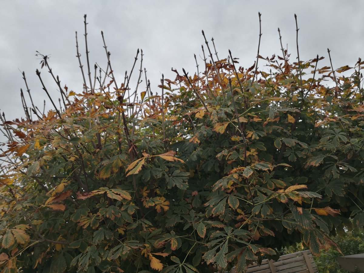 matteo_2212's tweet image. 