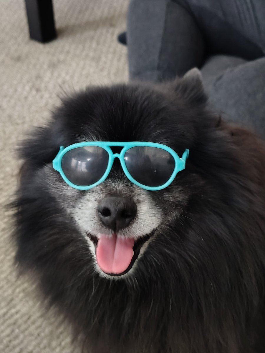 RayMcCracken7's tweet image. Too cool for fools