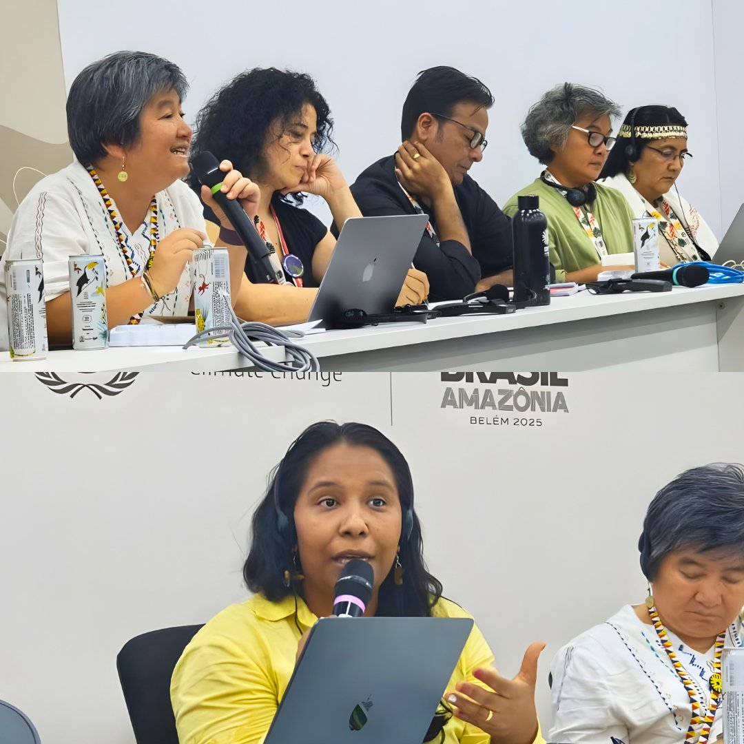 IBON International Climate Justice Program tweet media