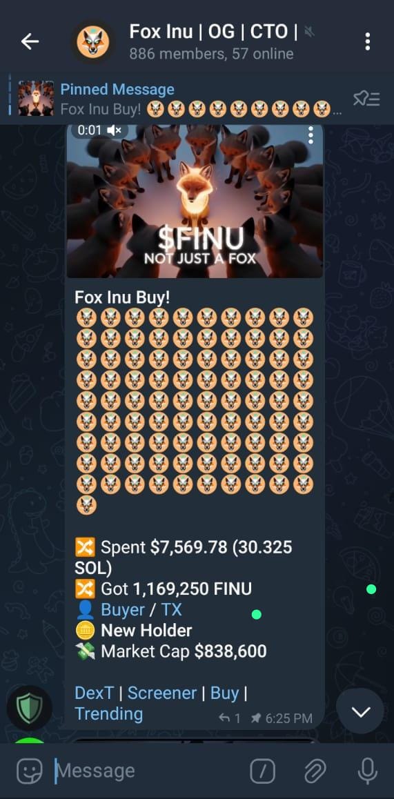 At 800k+ 1% of FINU was worth $7k currently %1 is worth $1200 it is time to accumulate before the next run up. Next ATH will be explosive 
Project is still below 10M mc.. 
Fox inu is built to make you wealthy over time. 

3roGjzv4TeaWFN8VN6hfUKAsmoVUrYmmB2Dz3NYF1GAA