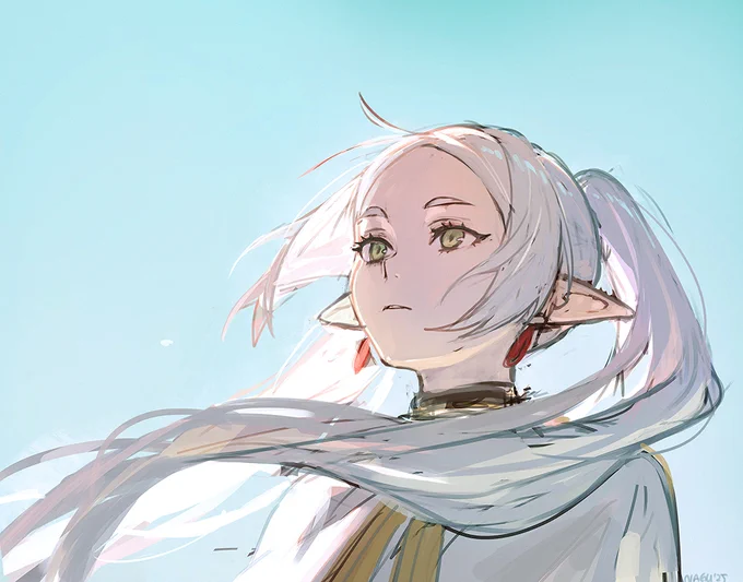 that was a fun study....(finds excuse to draw frieren)