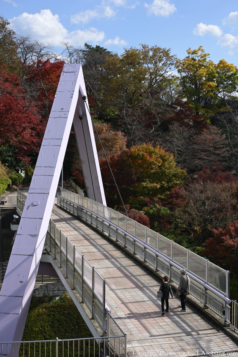 NIKKOR Z MC DX 35mm f/1.7 Z8 風景JPG