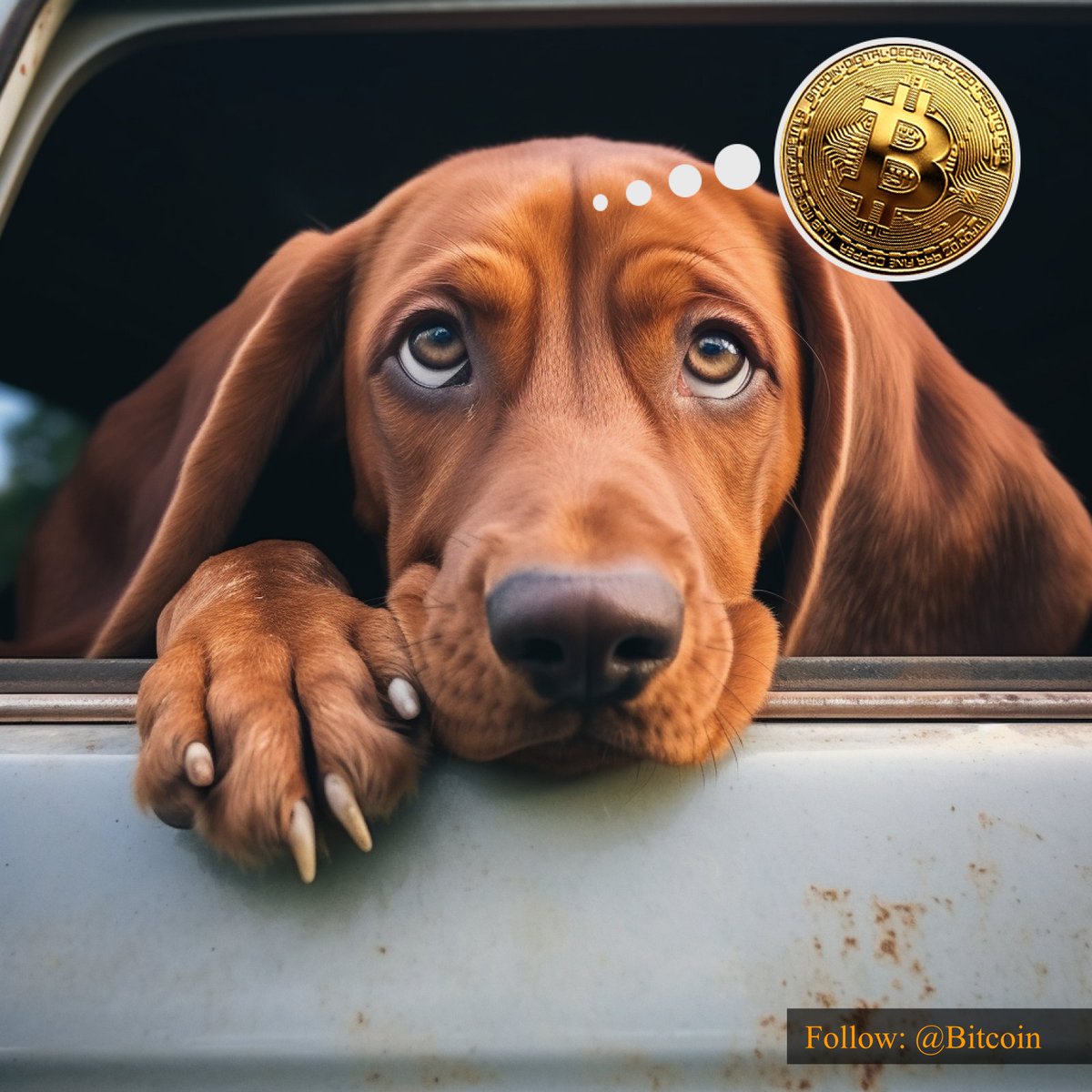 supportsystem_i's tweet image. $btc holders: Pressure more pressure 📈