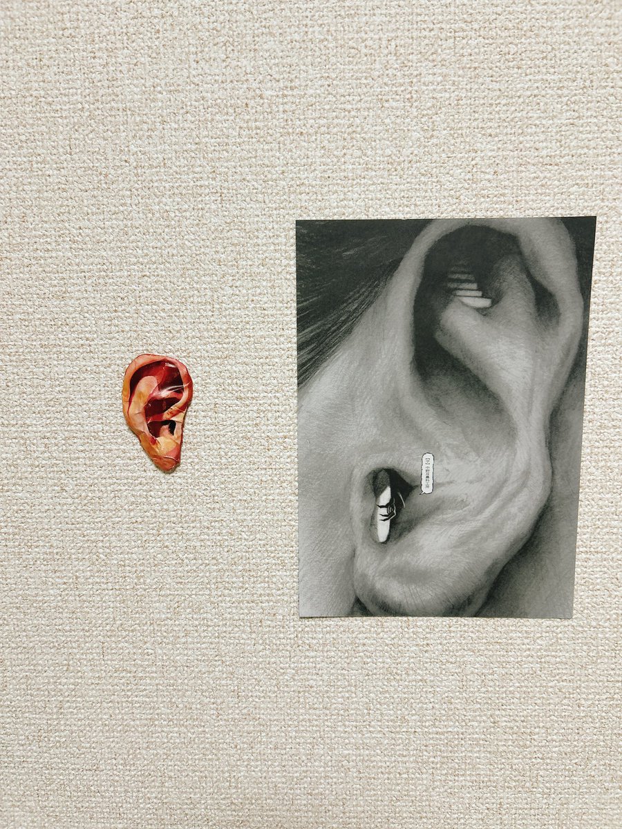 #中野耳鼻科工房
壁に耳あり、、、！

お家の壁に耳を貼りました👂
1日経って、膝にガタがきています！
ガクガクです！😂