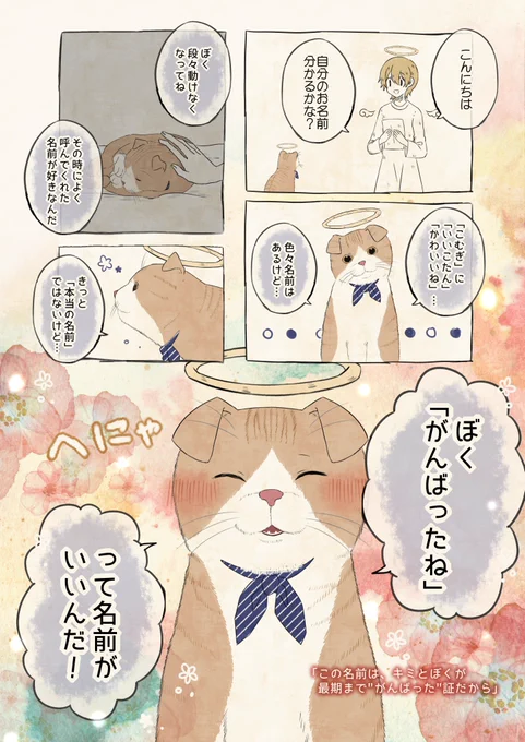 自分の名前を勘違いしている…?スコティッシュフォールド

#自分の名前を勘違いしている子 